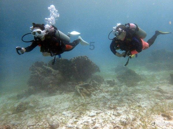 青岛自贸片区商业秘密保护模式获全省推广